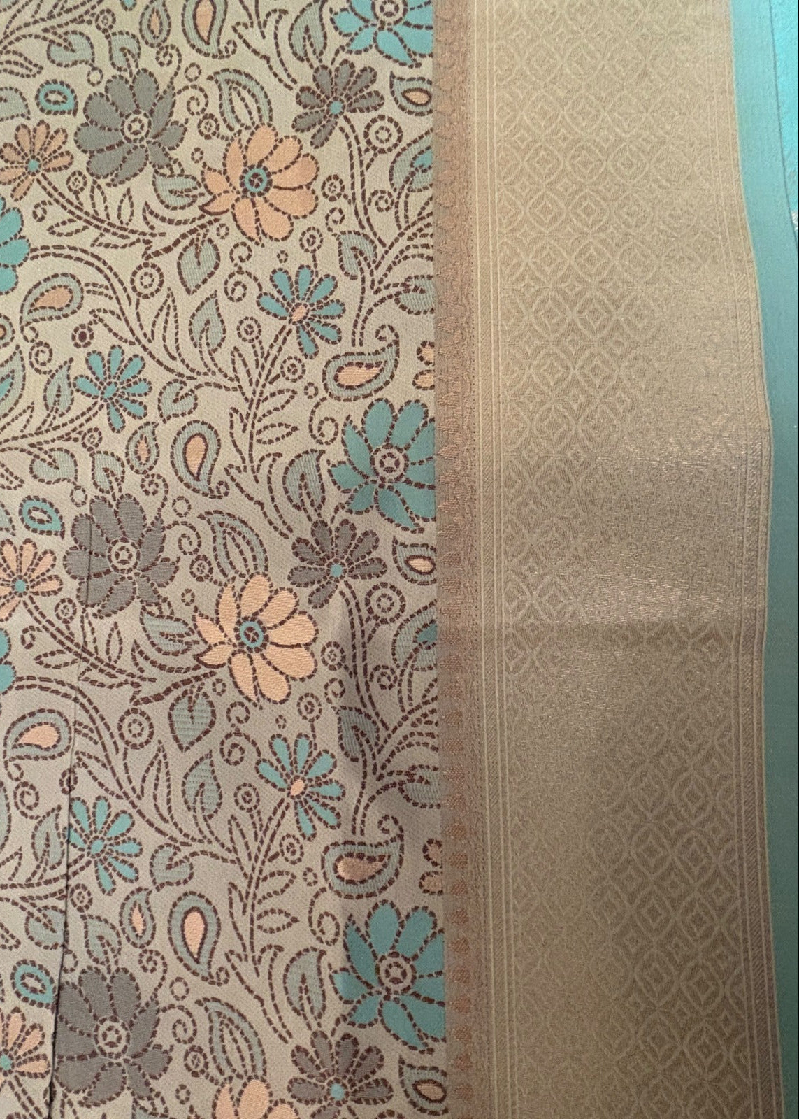 Aqua border edge on ivory Banarasi saree