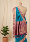 A teal blue and magenta silk saree with intricate gold zari embroidery, draped on a beige mannequin torso against a cream fabric backdrop, with a small potted plant on the left.